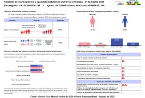 Relatório de Igualdade Salarial - Lote 2025/2